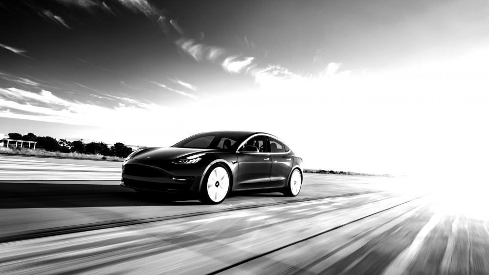 Tesla on the road